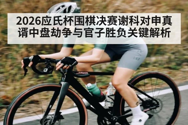 2026应氏杯围棋决赛谢科对申真谞中盘劫争与官子胜负关键解析